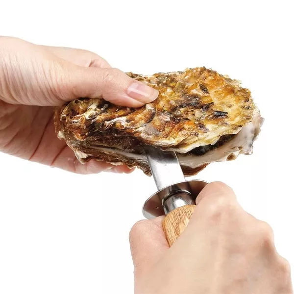 KAI Profesjonalny Nóż do Ostryg i Skorupiaków, Drewniana Rękojeść, 15