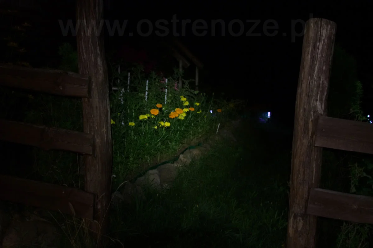 sunree_ree_blue - zdjęcie 5 (Opis)