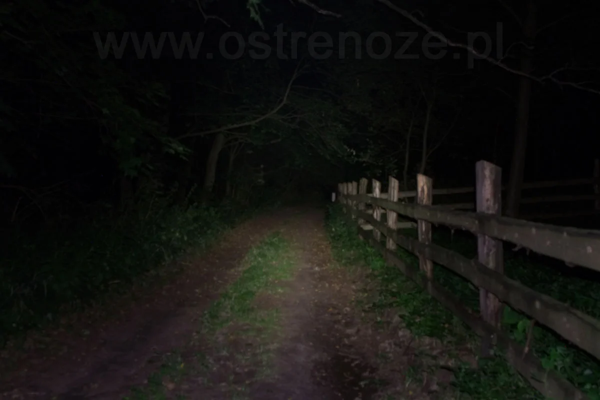 sunree_ree_blue - zdjęcie 8 (Opis)