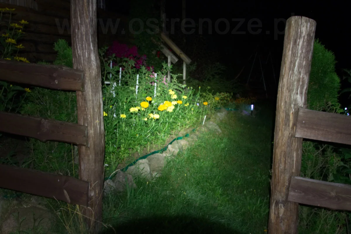 sunree_ree_blue - zdjęcie 9 (Opis)